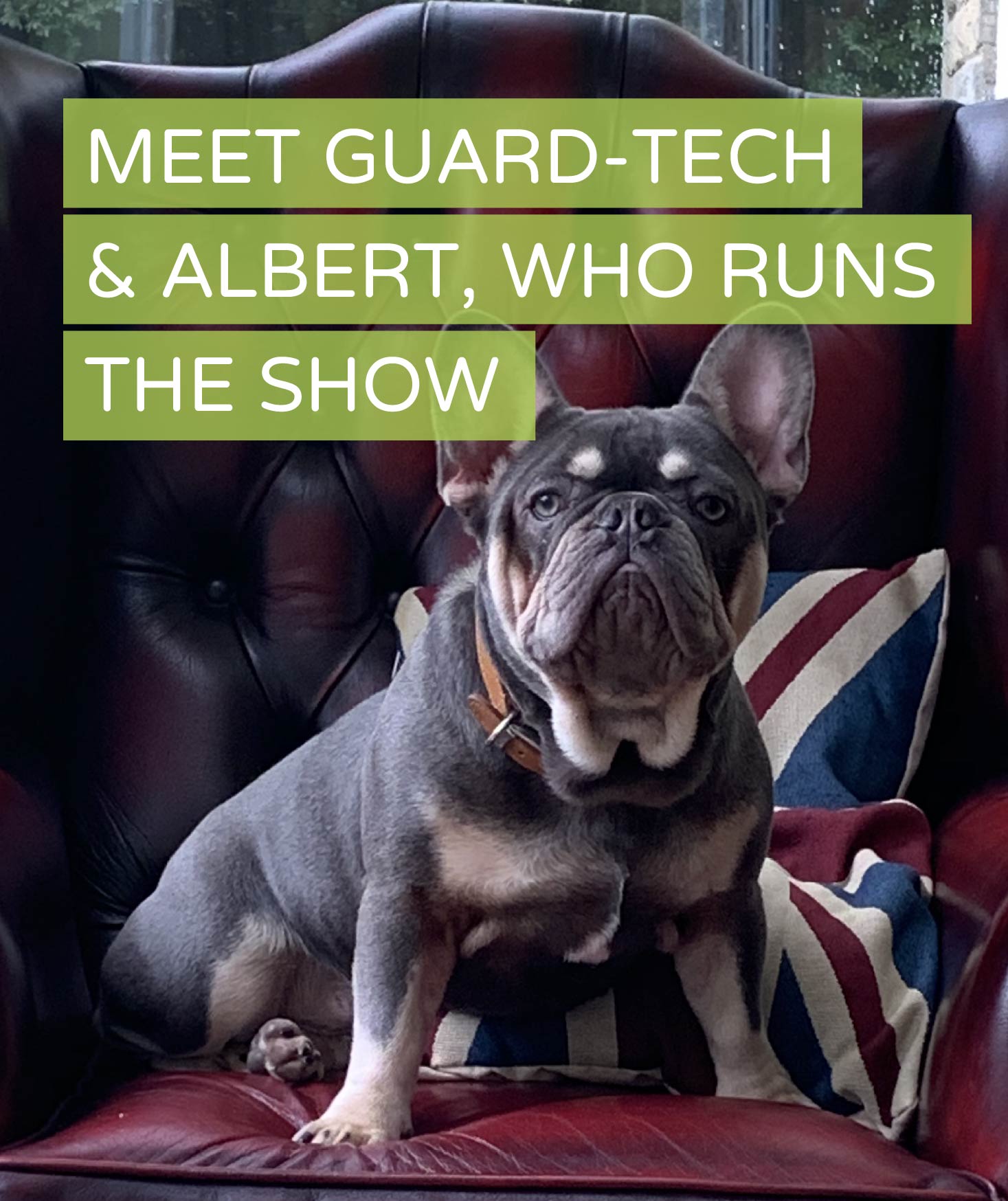 albert the boss of guard-tech